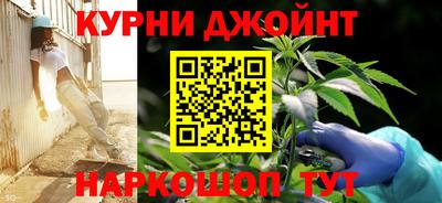 стафф Можга
