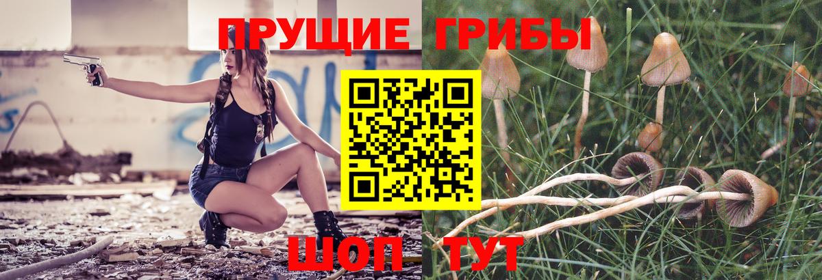 Галлюциногенные грибы мухоморы  Вход с VPN  Галлюциногенные грибы мицелий  Сергиев Посад 